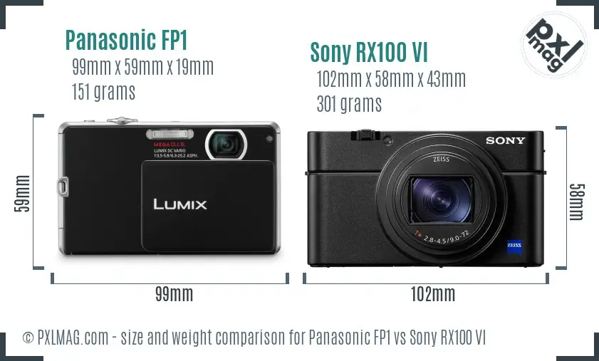 Panasonic FP1 vs Sony RX100 VI size comparison