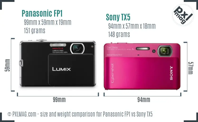 Panasonic FP1 vs Sony TX5 size comparison