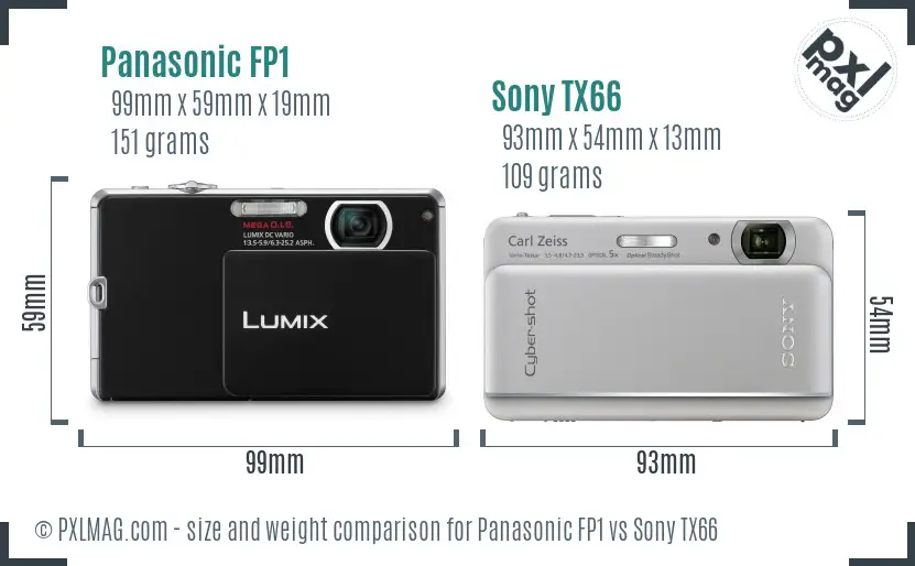 Panasonic FP1 vs Sony TX66 size comparison