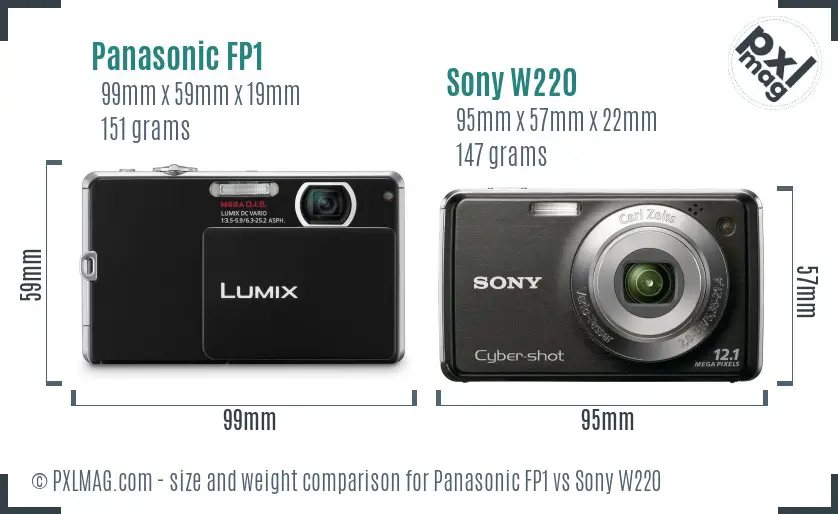 Panasonic FP1 vs Sony W220 size comparison Panasonic FP1 vs Sony W220 size comparison