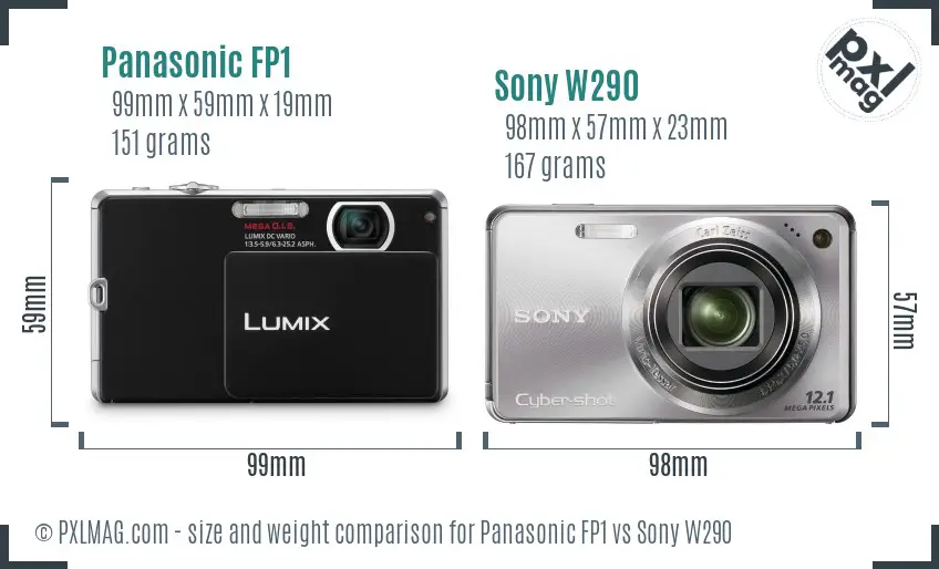 Panasonic FP1 vs Sony W290 size comparison