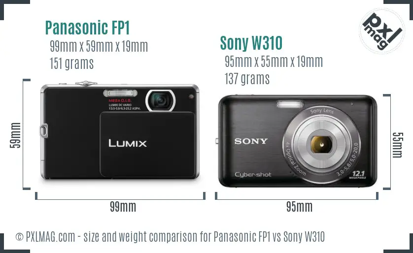 Panasonic FP1 vs Sony W310 size comparison