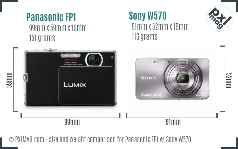 Panasonic FP1 vs Sony W570 size comparison