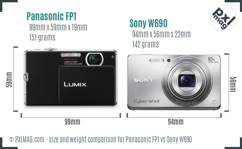 Panasonic FP1 vs Sony W690 size comparison