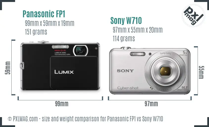 Panasonic FP1 vs Sony W710 size comparison