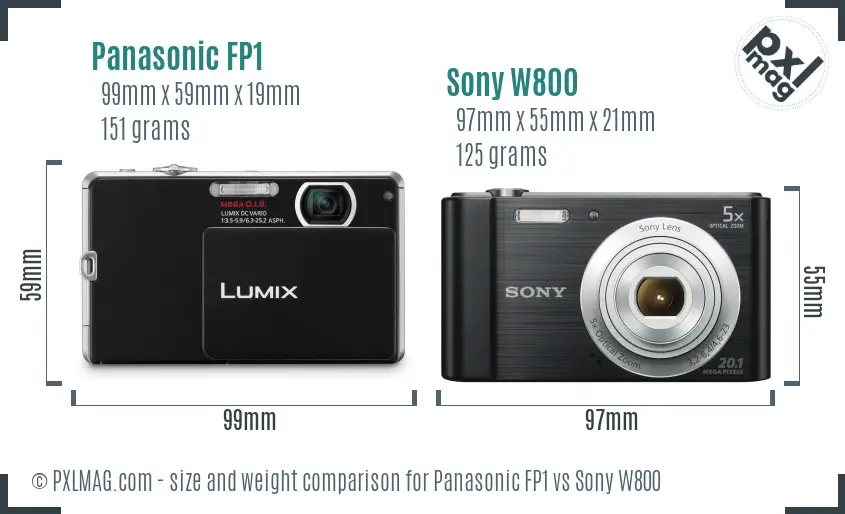 Panasonic FP1 vs Sony W800 size comparison