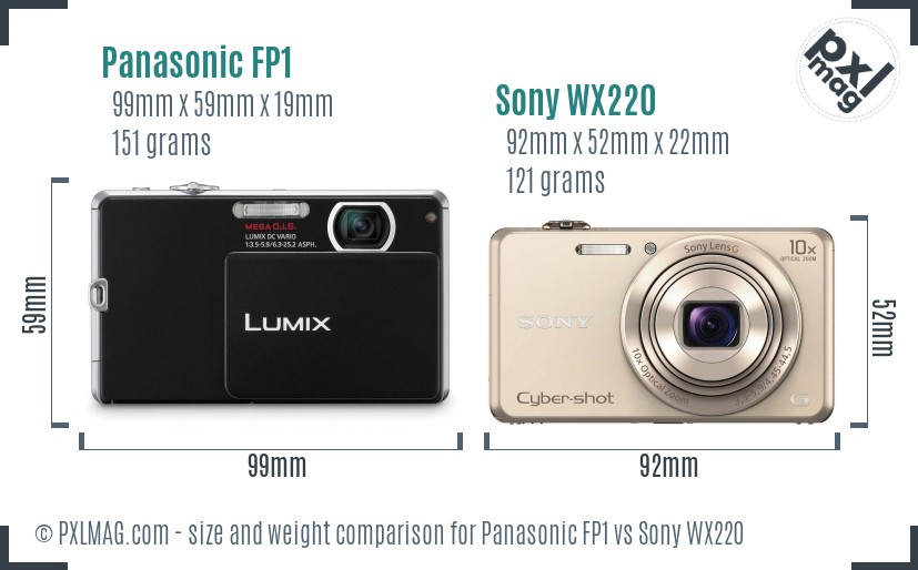 Panasonic FP1 vs Sony WX220 size comparison