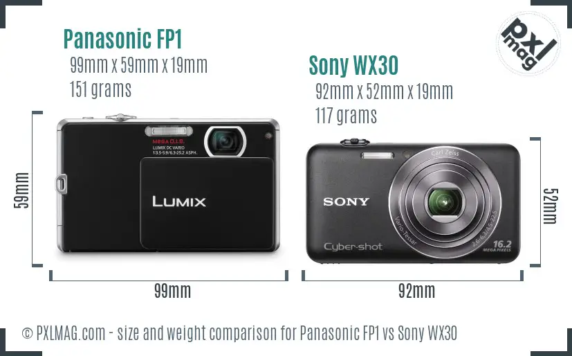 Panasonic FP1 vs Sony WX30 size comparison