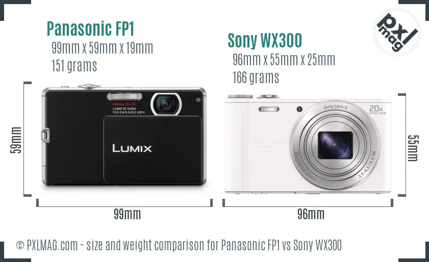Panasonic FP1 vs Sony WX300 size comparison