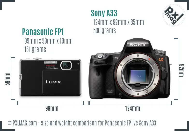 Panasonic FP1 vs Sony A33 size comparison