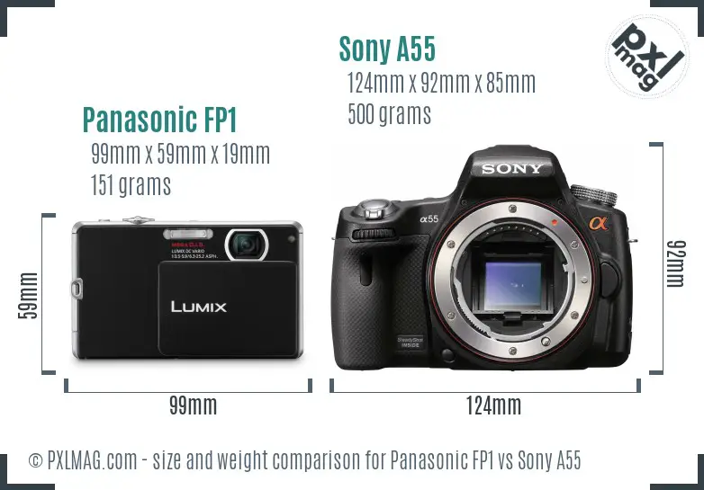 Panasonic FP1 vs Sony A55 size comparison