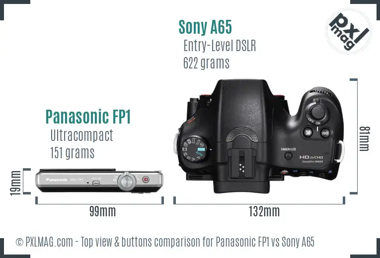 Panasonic FP1 vs Sony A65 top view buttons comparison