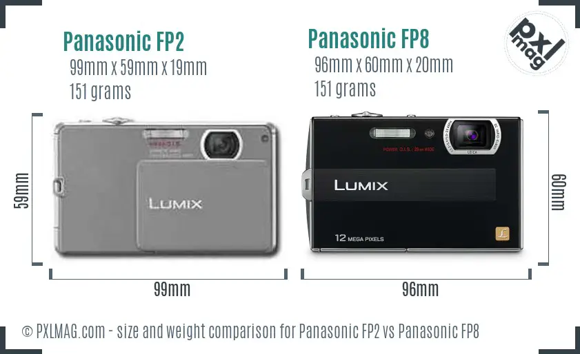 Panasonic FP2 vs Panasonic FP8 size comparison
