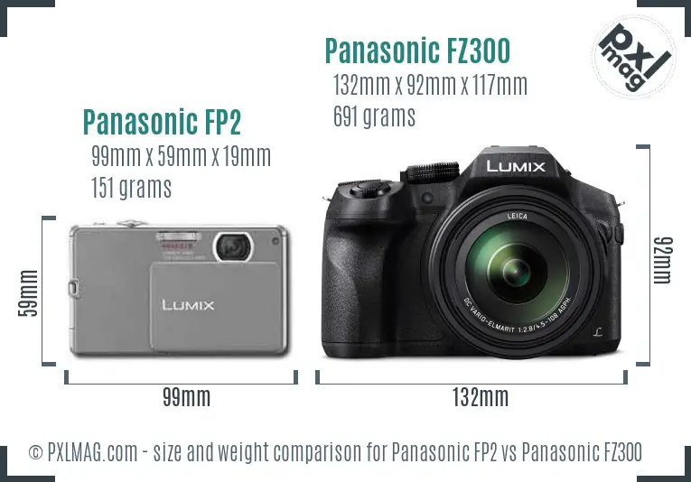 Panasonic FP2 vs Panasonic FZ300 size comparison