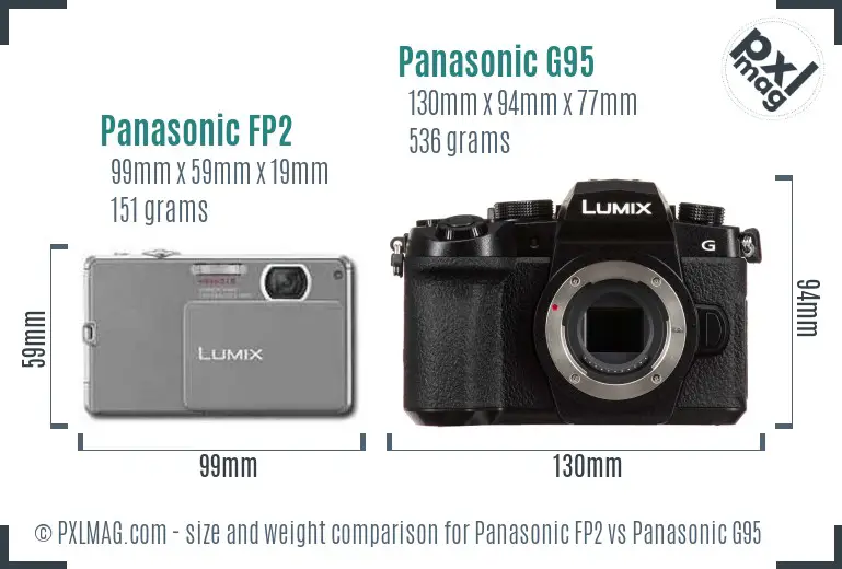 Panasonic FP2 vs Panasonic G95 size comparison