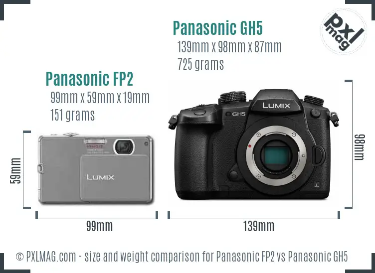 Panasonic FP2 vs Panasonic GH5 size comparison