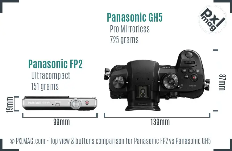 Panasonic FP2 vs Panasonic GH5 top view buttons comparison