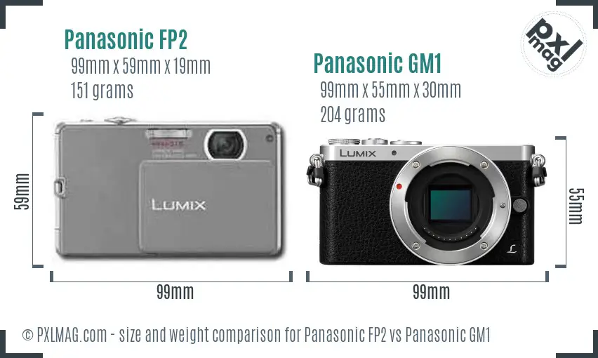 Panasonic FP2 vs Panasonic GM1 size comparison