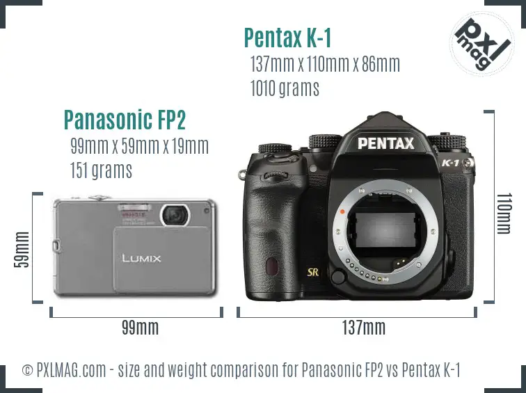 Panasonic FP2 vs Pentax K-1 size comparison
