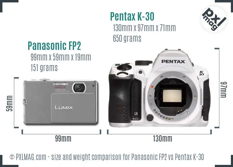 Panasonic FP2 vs Pentax K-30 size comparison