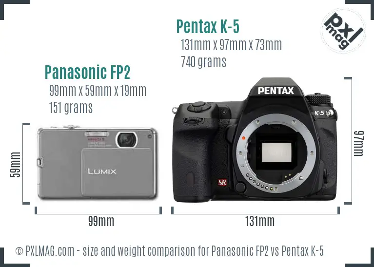 Panasonic FP2 vs Pentax K-5 size comparison