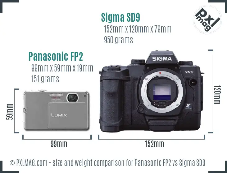 Panasonic FP2 vs Sigma SD9 size comparison