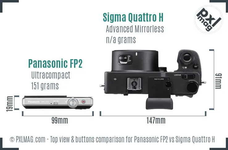 Panasonic FP2 vs Sigma Quattro H top view buttons comparison