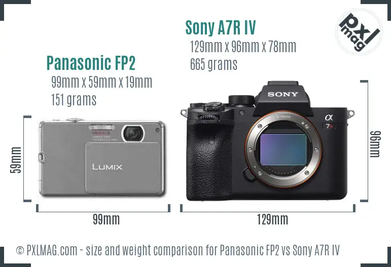 Panasonic FP2 vs Sony A7R IV size comparison