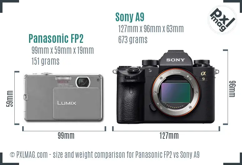 Panasonic FP2 vs Sony A9 size comparison