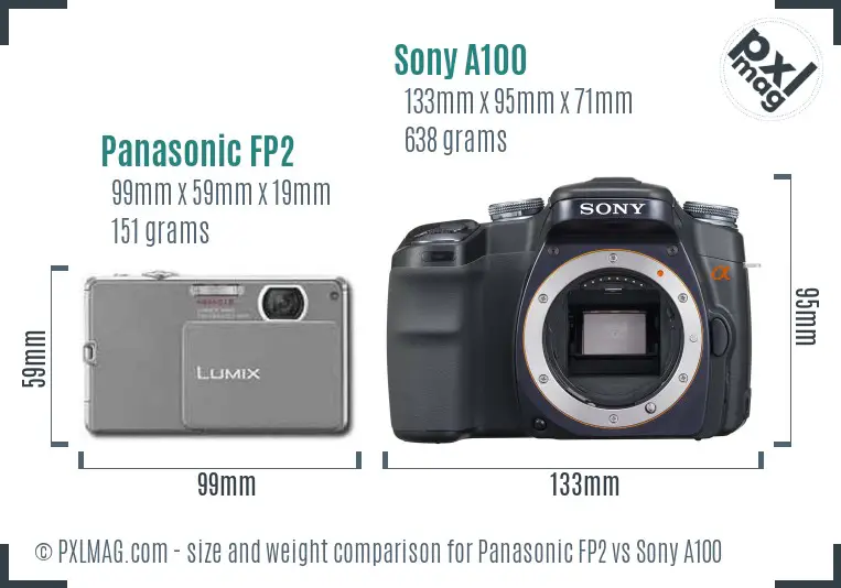 Panasonic FP2 vs Sony A100 size comparison