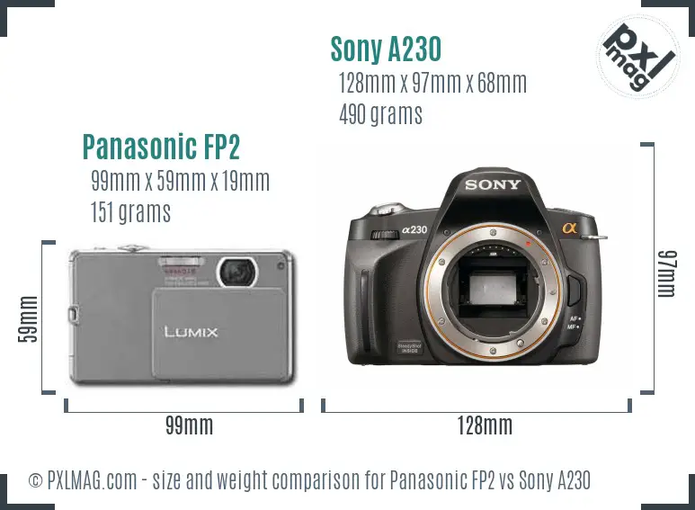 Panasonic FP2 vs Sony A230 size comparison