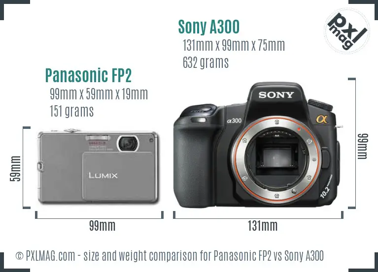 Panasonic FP2 vs Sony A300 size comparison