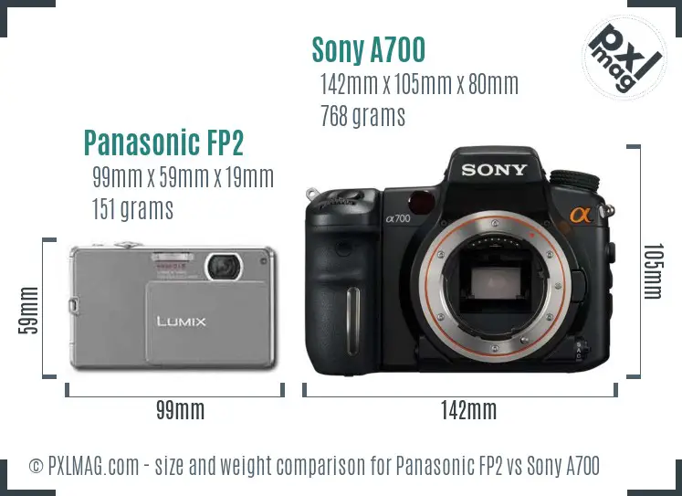Panasonic FP2 vs Sony A700 size comparison