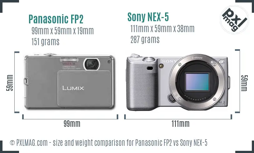 Panasonic FP2 vs Sony NEX-5 size comparison