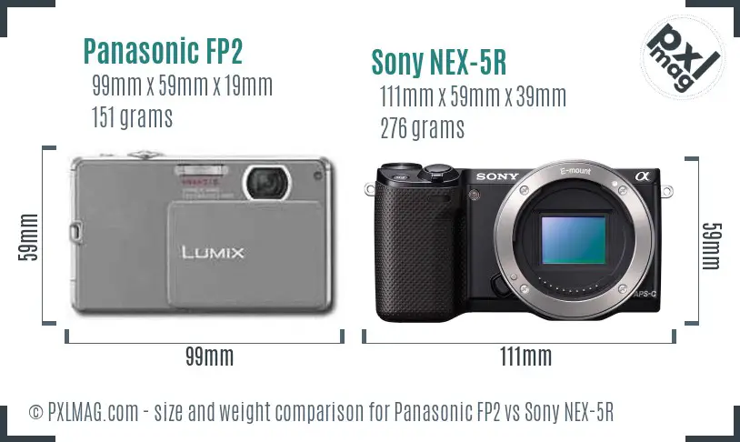 Panasonic FP2 vs Sony NEX-5R size comparison