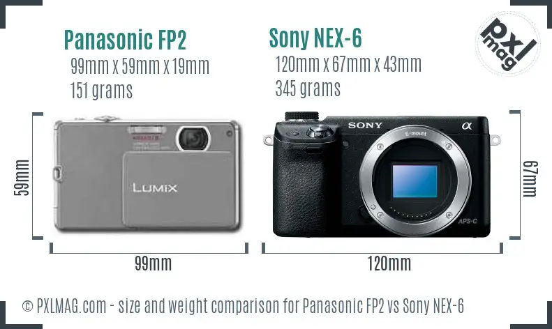 Panasonic FP2 vs Sony NEX-6 size comparison