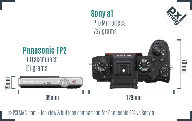 Panasonic FP2 vs Sony a1 top view buttons comparison