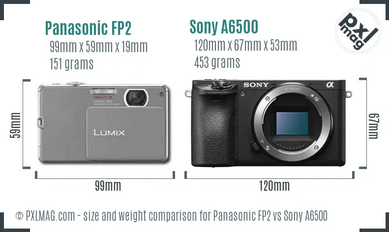 Panasonic FP2 vs Sony A6500 size comparison