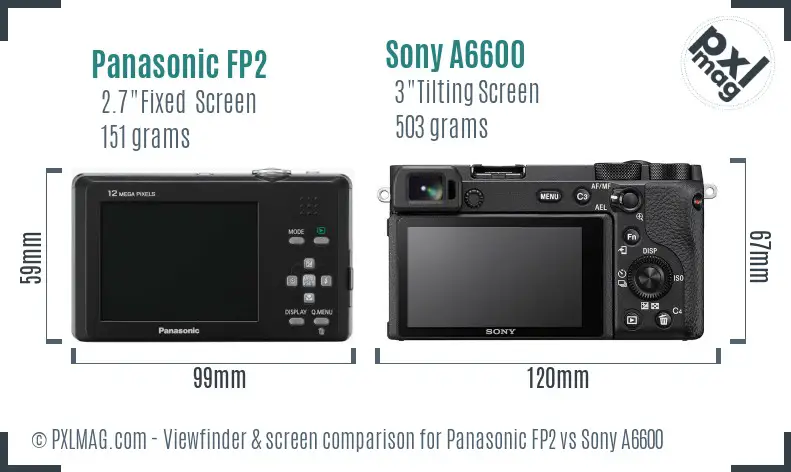 Panasonic FP2 vs Sony A6600 Screen and Viewfinder comparison