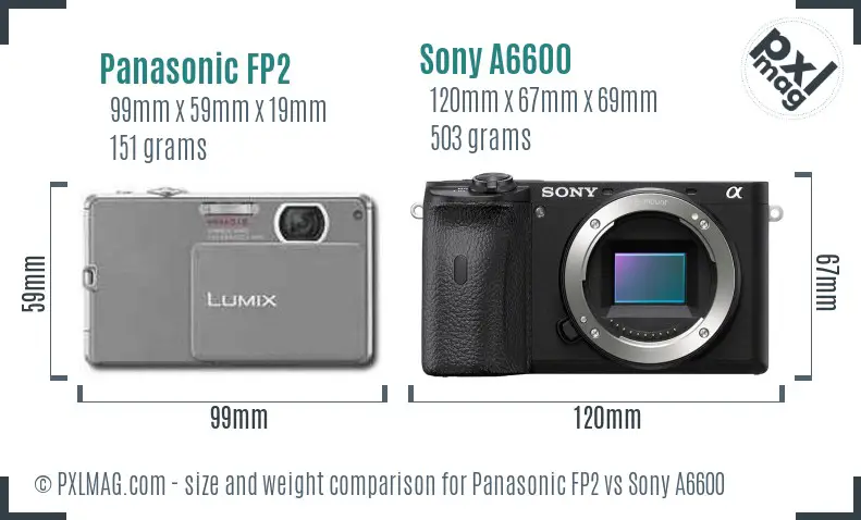 Panasonic FP2 vs Sony A6600 size comparison