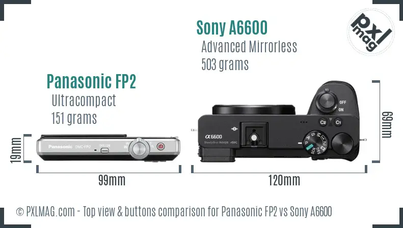 Panasonic FP2 vs Sony A6600 top view buttons comparison