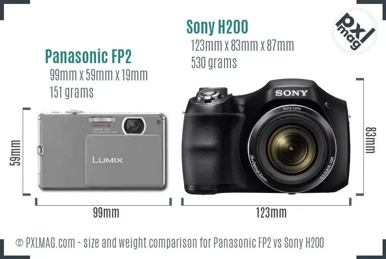 Panasonic FP2 vs Sony H200 size comparison