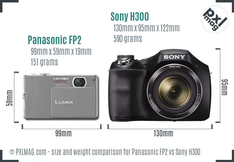 Panasonic FP2 vs Sony H300 size comparison