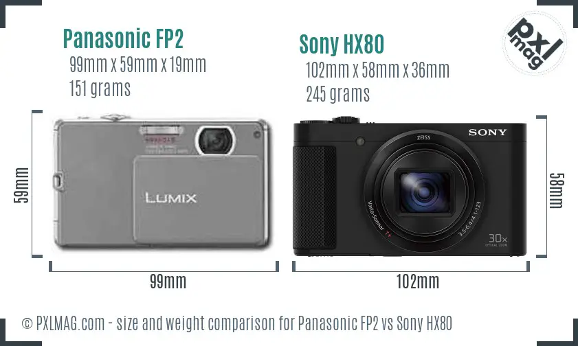 Panasonic FP2 vs Sony HX80 size comparison
