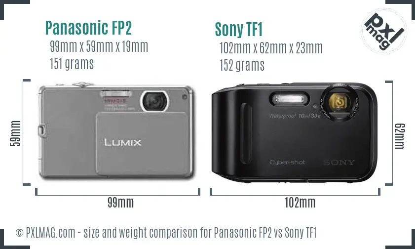 Panasonic FP2 vs Sony TF1 size comparison