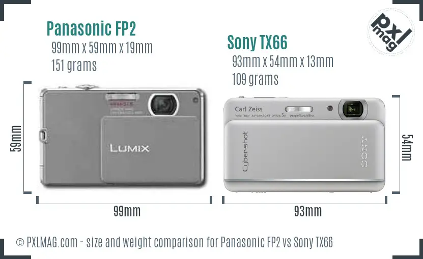 Panasonic FP2 vs Sony TX66 size comparison