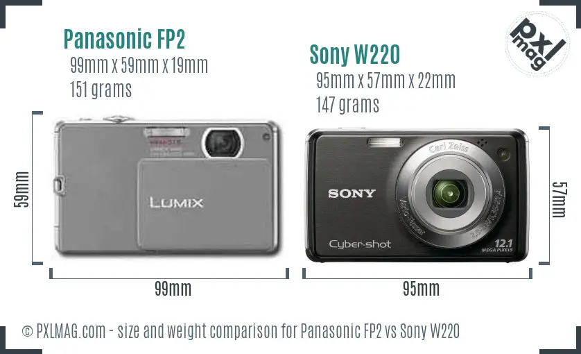 Panasonic FP2 vs Sony W220 size comparison