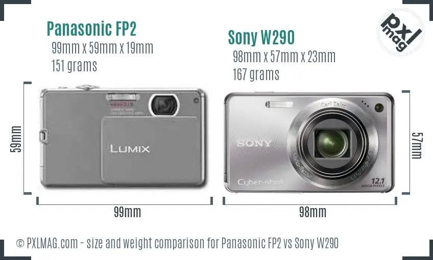 Panasonic FP2 vs Sony W290 size comparison