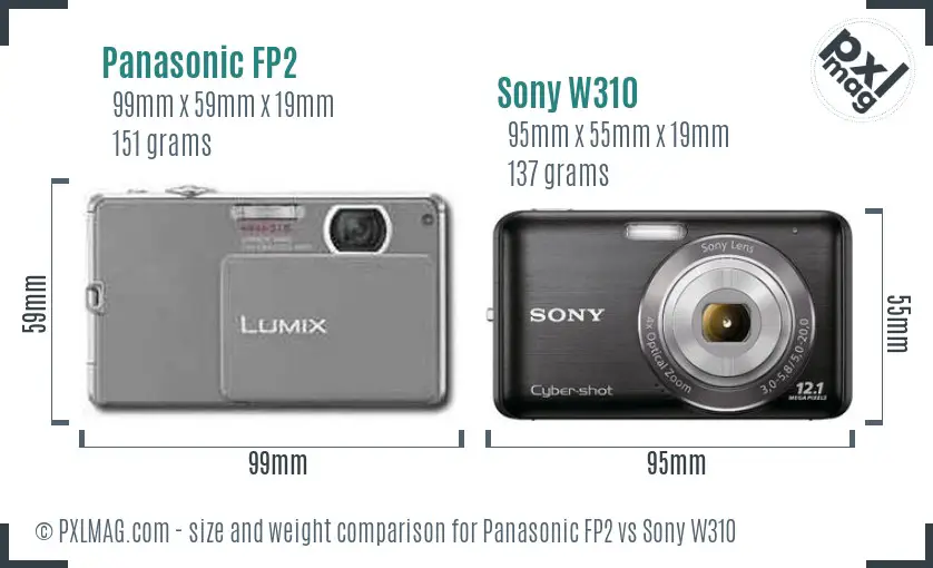 Panasonic FP2 vs Sony W310 size comparison
