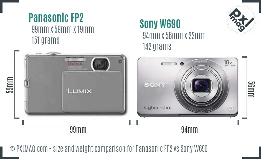 Panasonic FP2 vs Sony W690 size comparison